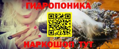 скорость Лесосибирск