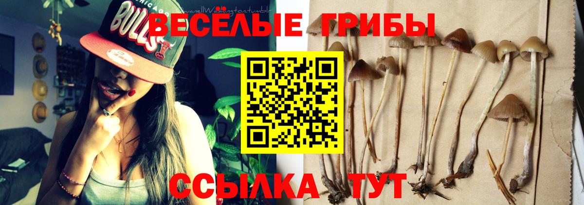 Галлюциногенные грибы MAGIC MUSHROOMS  Галлюциногенные грибы Cubensis  Йошкар-Ола  Вход с VPN 